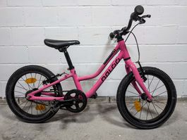 ⚡ Naloo Chameleon 16" 🔥 Neue Bremsen - Top Zustand! 🚚