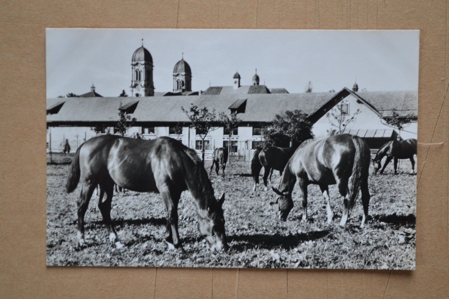 Cartoline postali: AK Einsiedeln Klosterpferde SZ – Usato da Beinwil am See venduto da kajak55