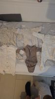 Baby Bodys & Strampler 5er Pack Gr. 2-6 M
