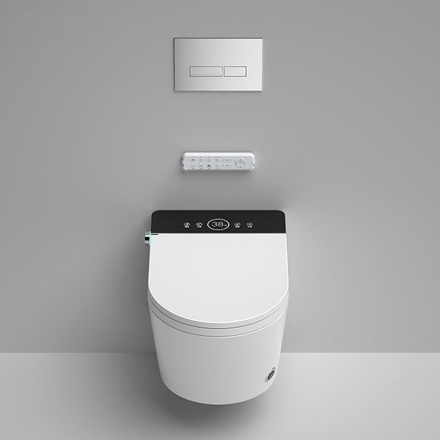 WC: Dusch WC mit vielen Funktionen inkl Wassertank – Nuovo (secondo la descrizione) da Saules BE venduto da zemco 1