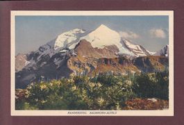 Kandersteg - BALMHORN-ALTELS