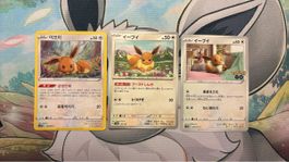 3x Pokémon Karten Evoli Korea/Japan