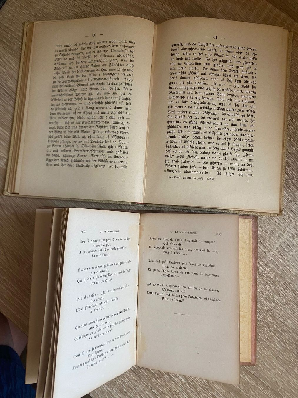 Libri: 2 Bücher antik 1853 - 1904 – Usato da Bösingen venduto da Trigusik 3