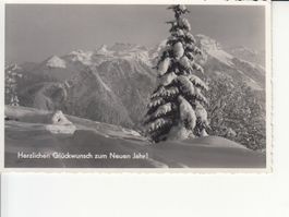 Braunwald 1943
