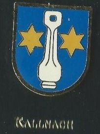 Placchette & Badge: Kallnach Gemeindewappen PIN – Usato da Zürich venduto da t24_de