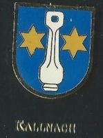 Kallnach Gemeindewappen PIN