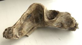 Wurzel Skulptur