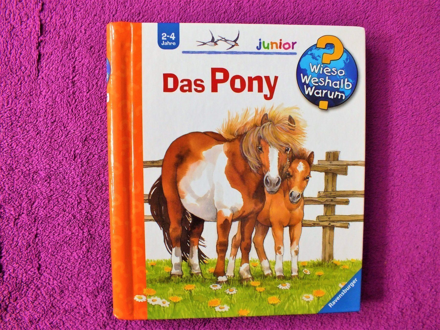 Libri: Wieso Weshalb Warum Junior - Das Pony – Usato da Müllheim Dorf venduto da Seeeule01