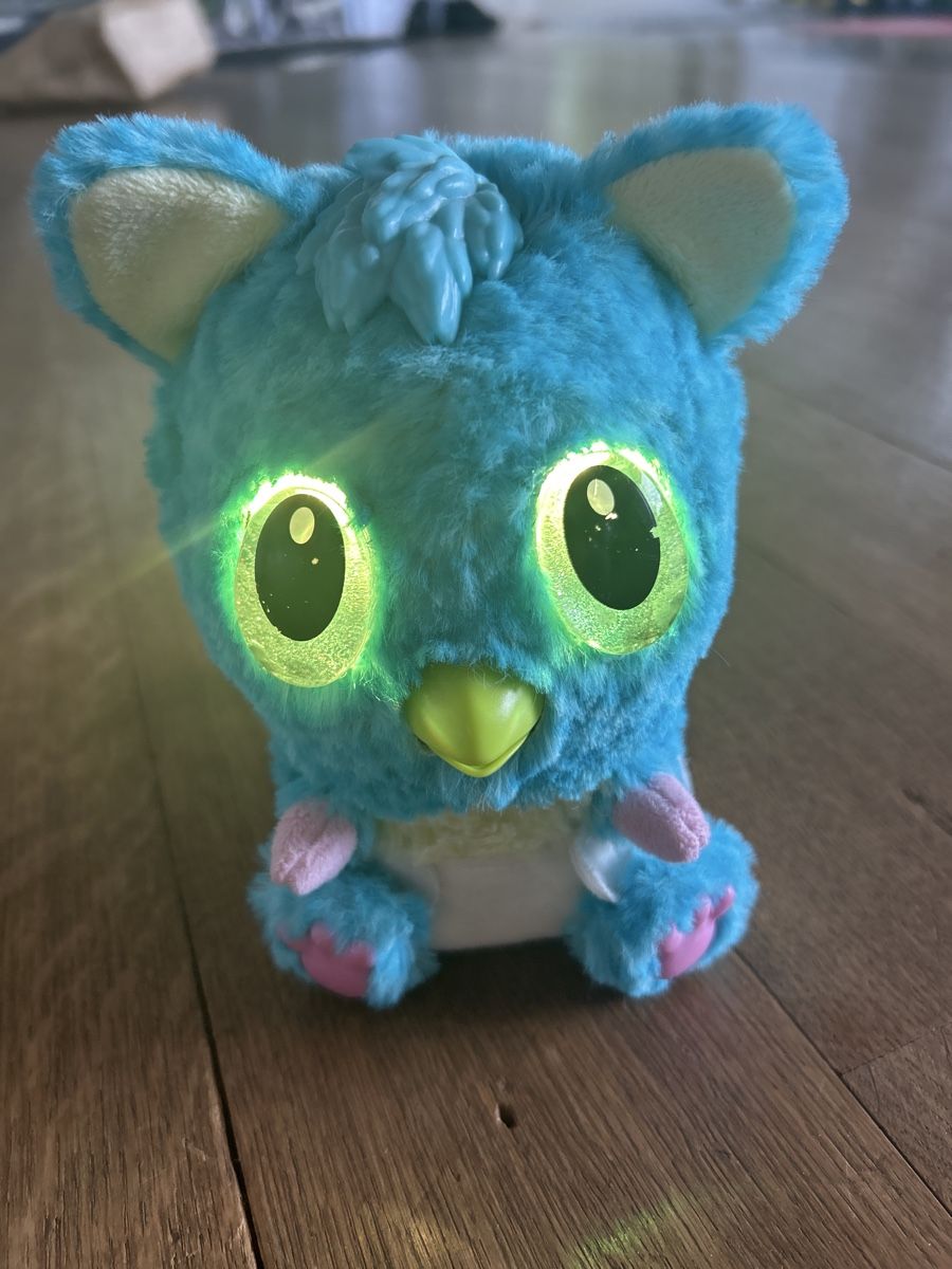 Hatchimals Spielzeuge: Hatchimal – Gebraucht aus Liebefeld von heblow 2