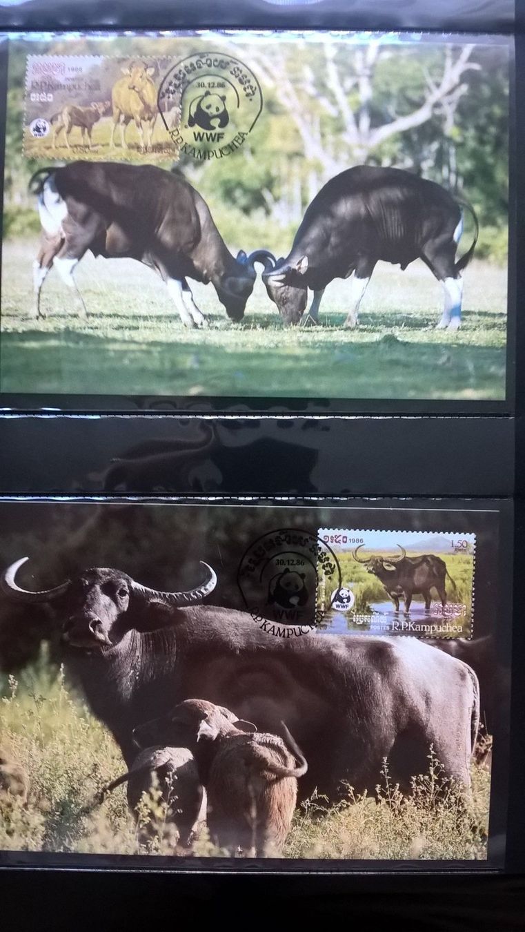 Tutti i francobolli: Kambodscha 1986 Satz WWF Wildrinder Maximumkarten – Nuovo (secondo la descrizione) da Liestal venduto da schnueps