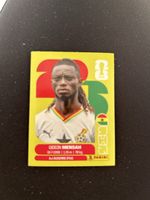 Panini GHA 7