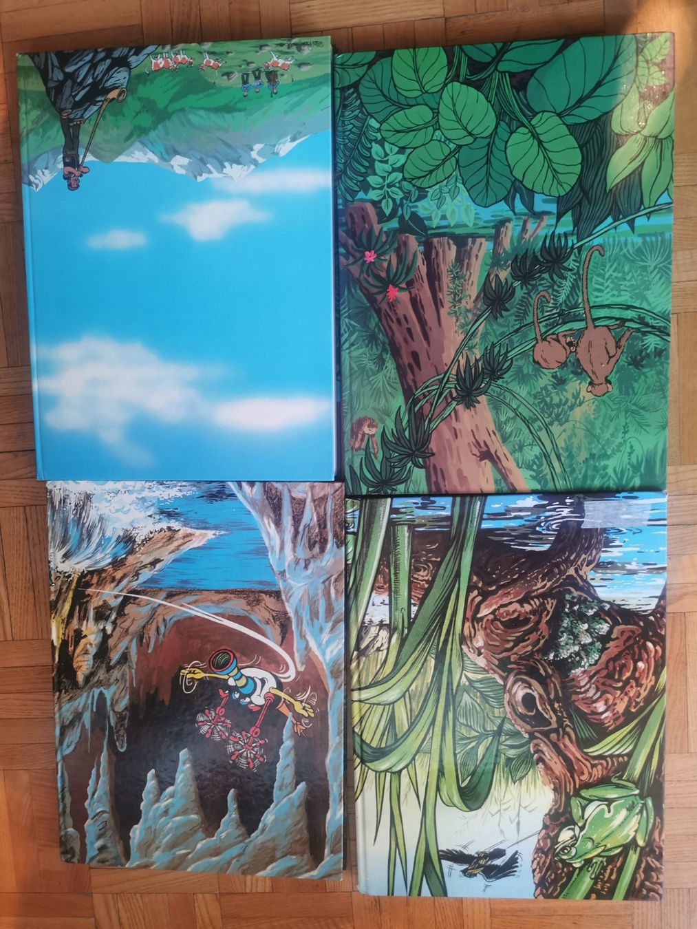 Libri: Ringgi + Zofi 7 Bücher – Usato da Uster venduto da bek_v2ct 3