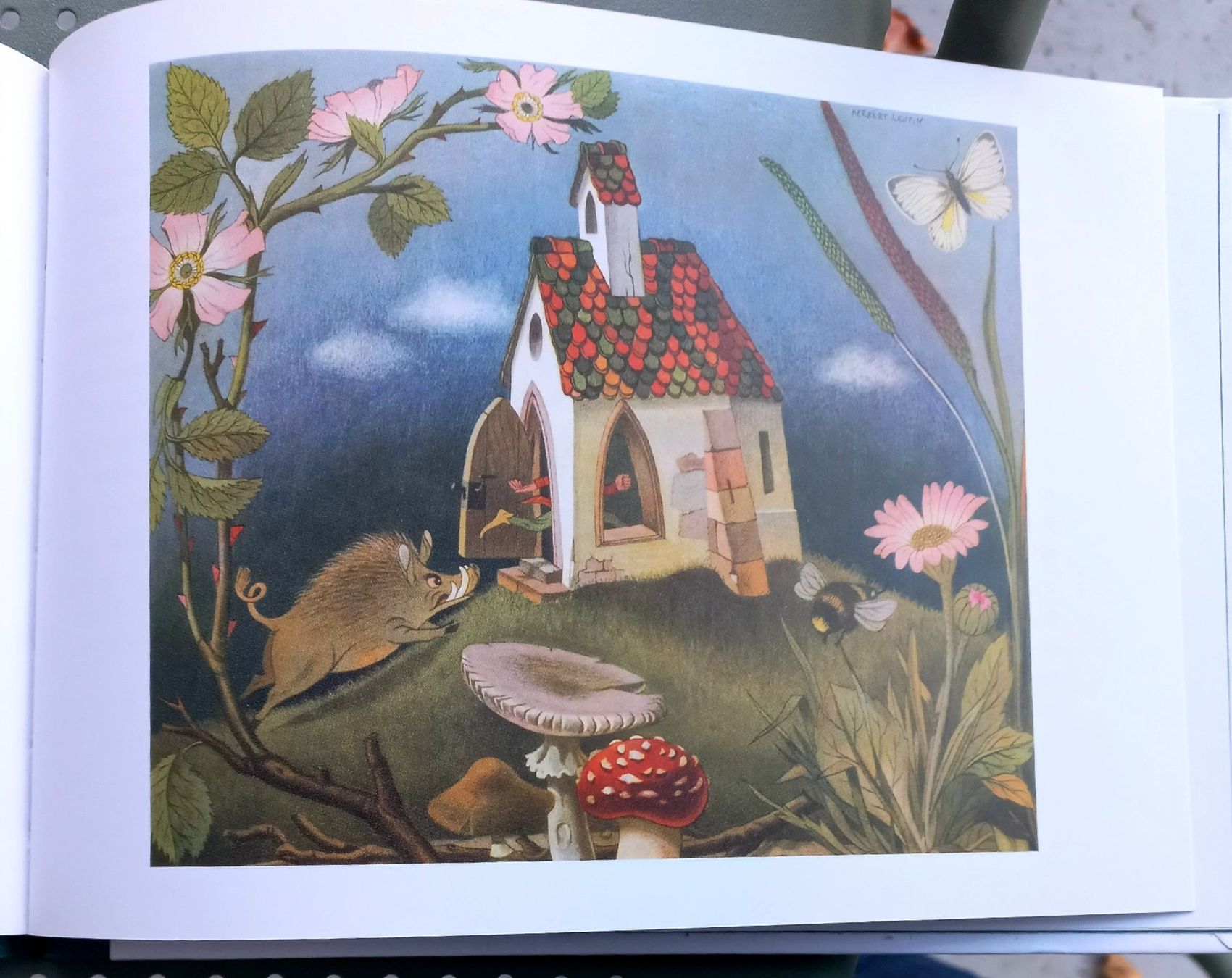 Libri: Buch - Das tapfere Schneiderlein - Gebrüder Grimm – Usato da Niederuzwil venduto da lubimaja 5