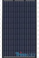 PV-Modul Trina 235W