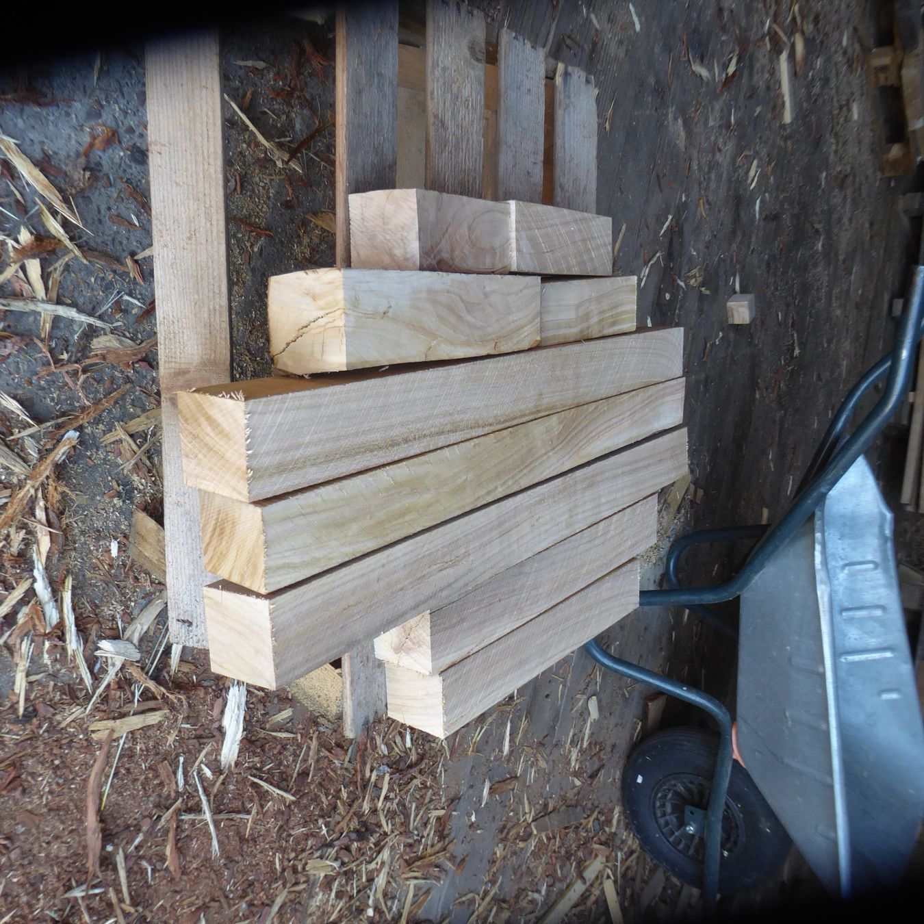 Articoli in legno: Drechslerholz 6 x 6 – Nuovo (secondo la descrizione) da Sumiswald venduto da Hennri1 1