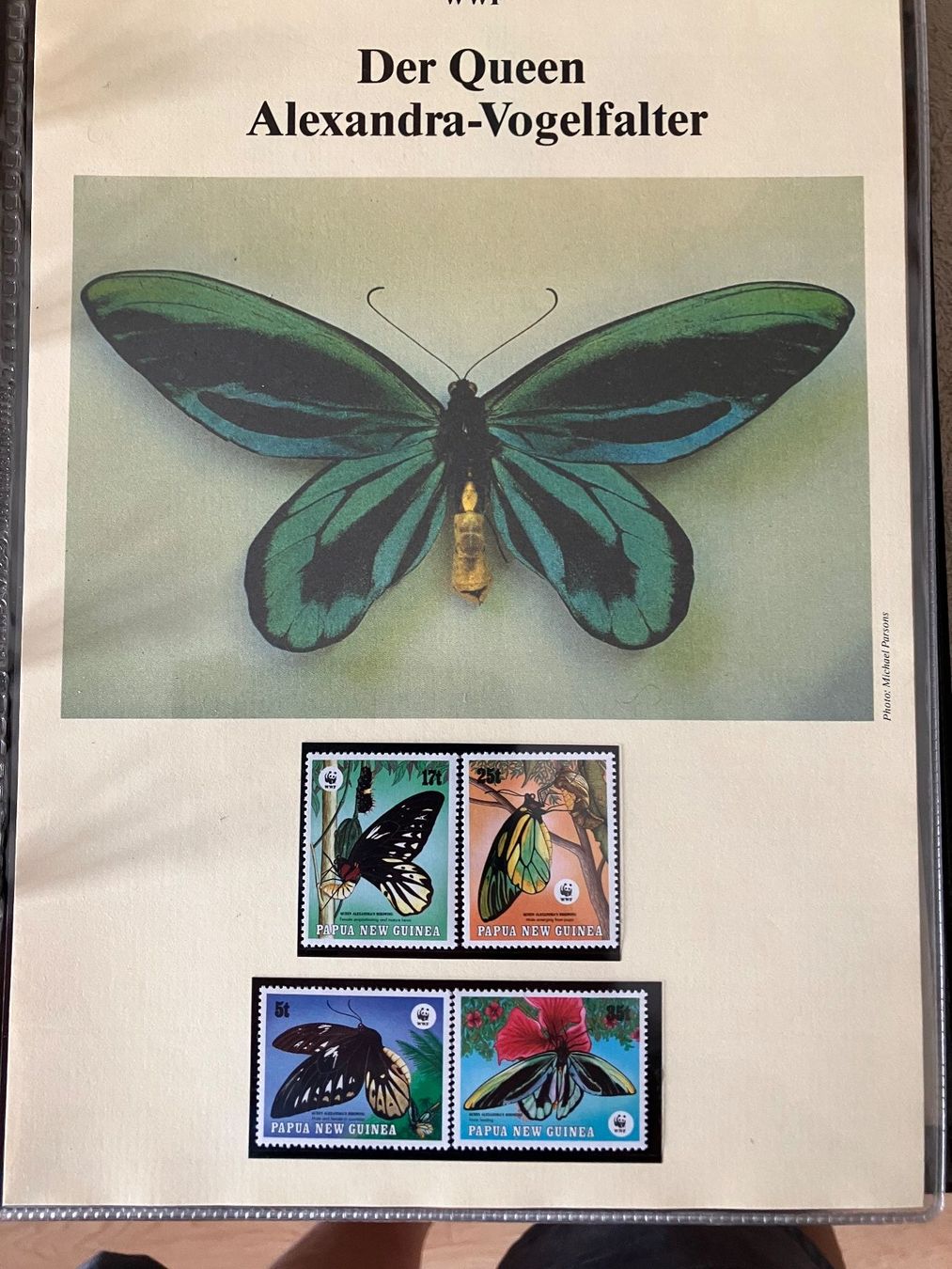 Alle Briefmarken: 6 Ordner WWF Briefmarken – Gebraucht aus Baar von Ramona10 3