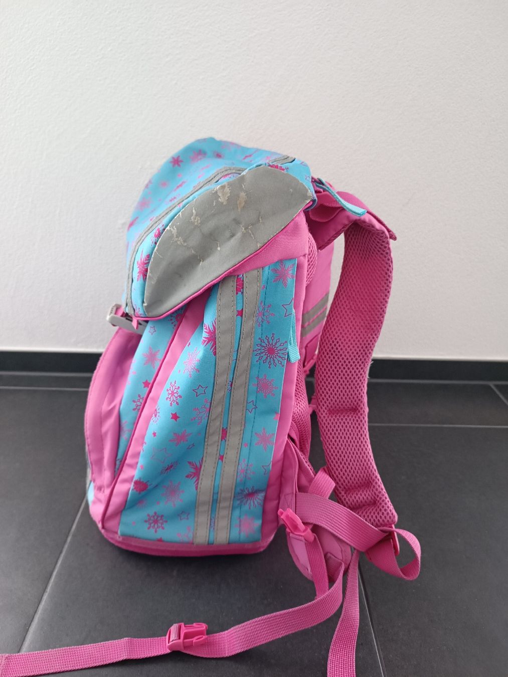 Kindertaschen: Scooli FlexMax Schulsack Die Eiskönigin mit Etui – Gebraucht aus Glarus von anrda 2