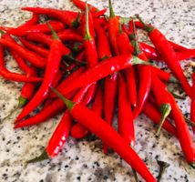 50 stk FRISCHE ROTE PAPRIKA SEHR SCHARF