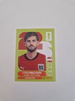 Panini Sticker AUT14