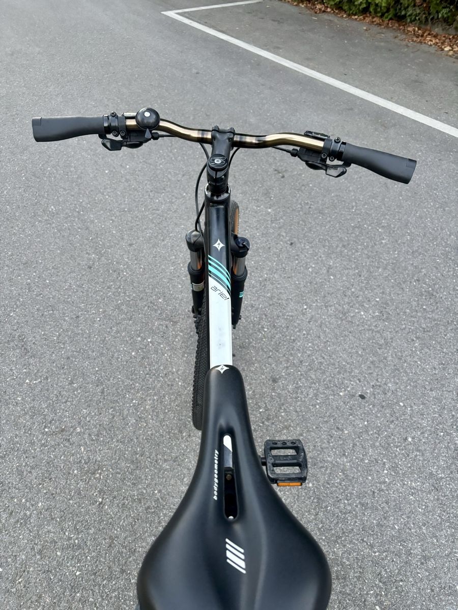 Specialized Biciclette: VTT Specialized taille L – Usato da Morges venduto da blackbirdster 3