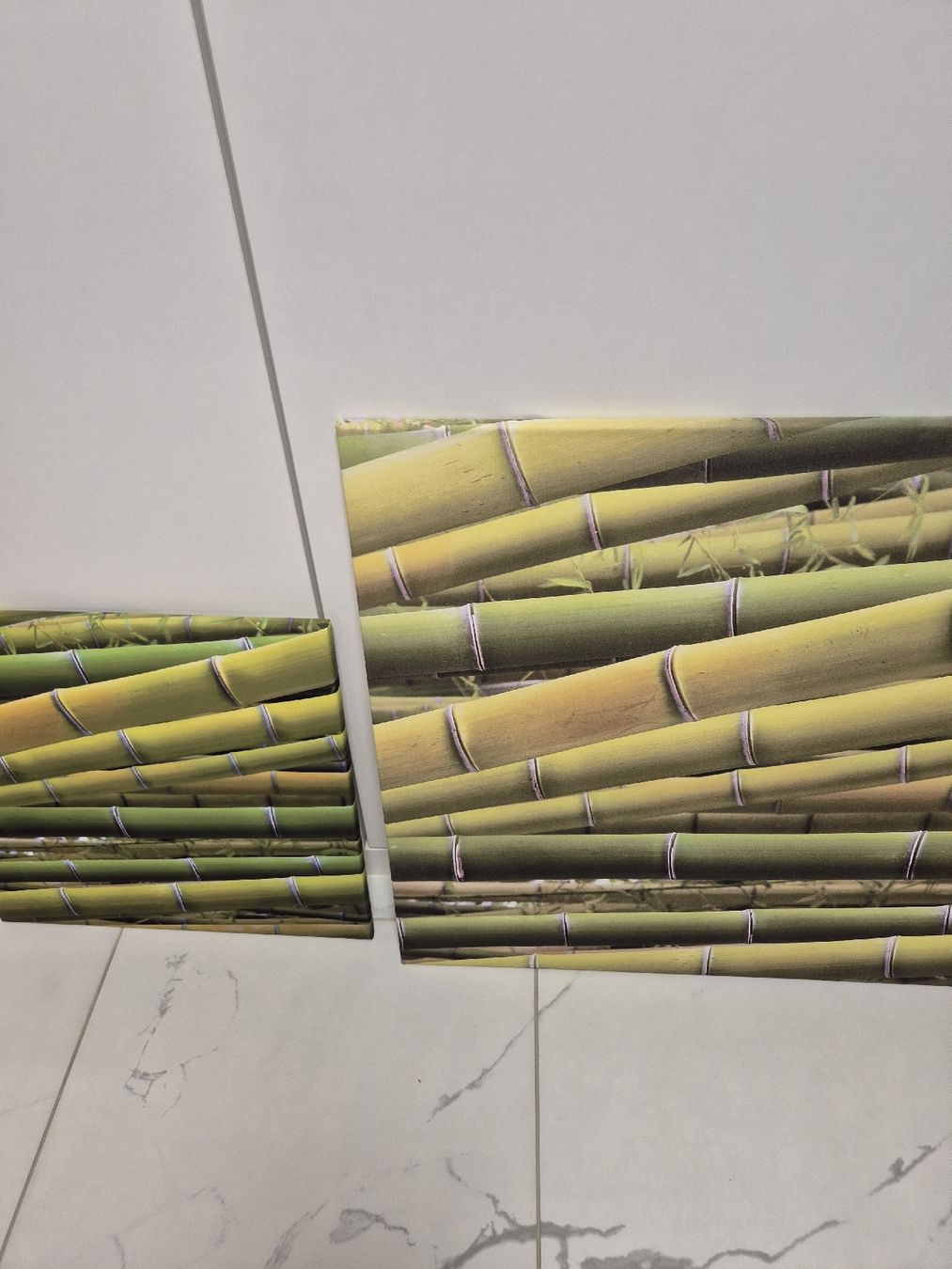 Poster & Bilder: Bambus Biler 3er Set Leinwand – Gebraucht aus Krauchthal von SamsPuce 2