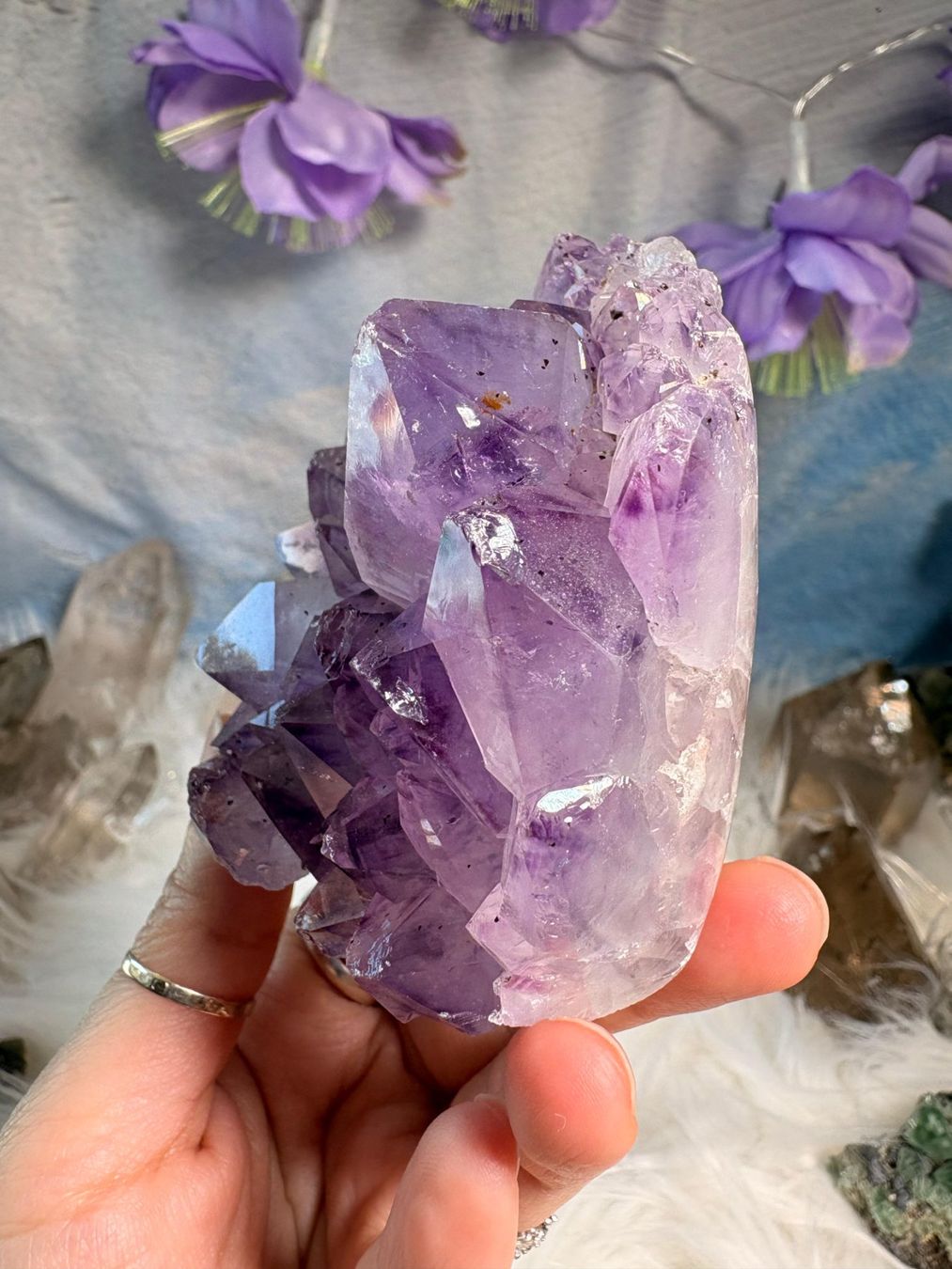 Minerali & Pietre curative: Amethyst Geode – Nuovo (secondo la descrizione) da Neuheim venduto da m.hald 3