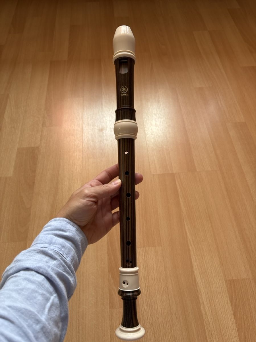 Yamaha Strumenti musicali: Blockflöte Yamaha (B) – Usato da Bern venduto da wisemagpie 1