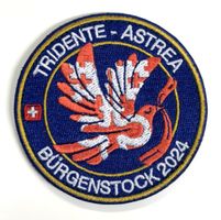 Originaler Patch Armee Polizei Konferenz Bürgenstock 2024 