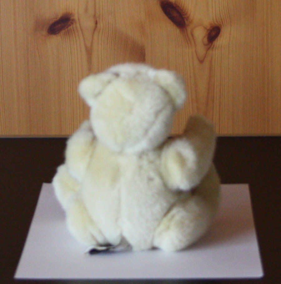 Giocattoli: Teddybär Bär  Gliedmassen beweglich – Usato da Flüelen venduto da Diversicum-Shop 4