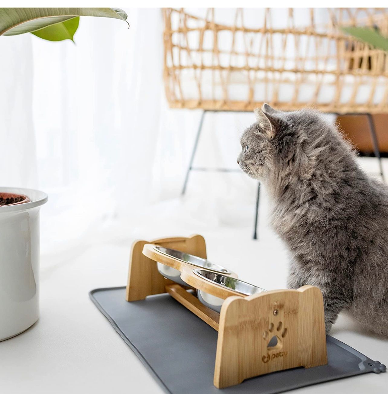 Mangimi: + Muawo Premium Hundenapf oder Katzennapf höhenverstellbar – Nuovo e nell'imballaggio originale da Amriswil venduto da JaJa-Express 3