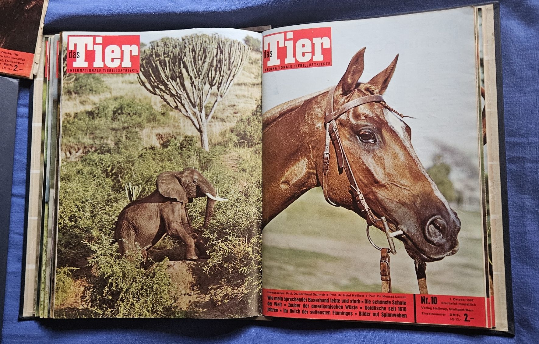 Riviste & Magazine: Zeitschriftensammlung "Das Tier" , 5 Hefte +  5 Ordner – Usato da Kaltacker venduto da Cougar01 1