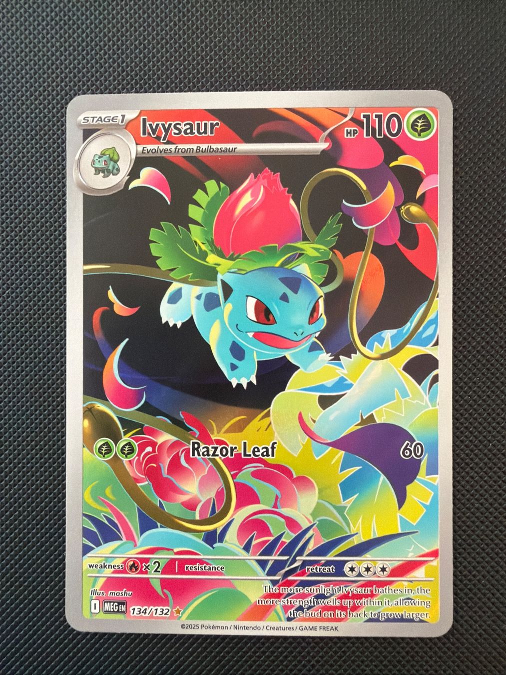 Pokémon Carte collezionabili: Ivysaur - 134/132 - Mega Evolution Base 🇺🇸 – Usato da Oberrohrdorf venduto da Samet-TCG