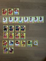 Panini WM 27 Sticker Set