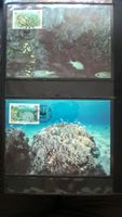 WWF Tuvalu 1992 Satz Blaukoralle Maximumkarten