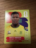 Panini Fifa RSA 6