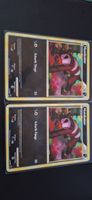 Pokémon Hunduster Karte 2er Set guter Zustand