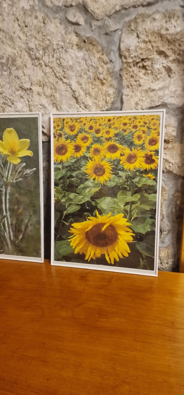 Posters & Illustrations: 3 Bilder mit Blumen Motiv  – D'occasion à Grellingen par syl_t5wm 1