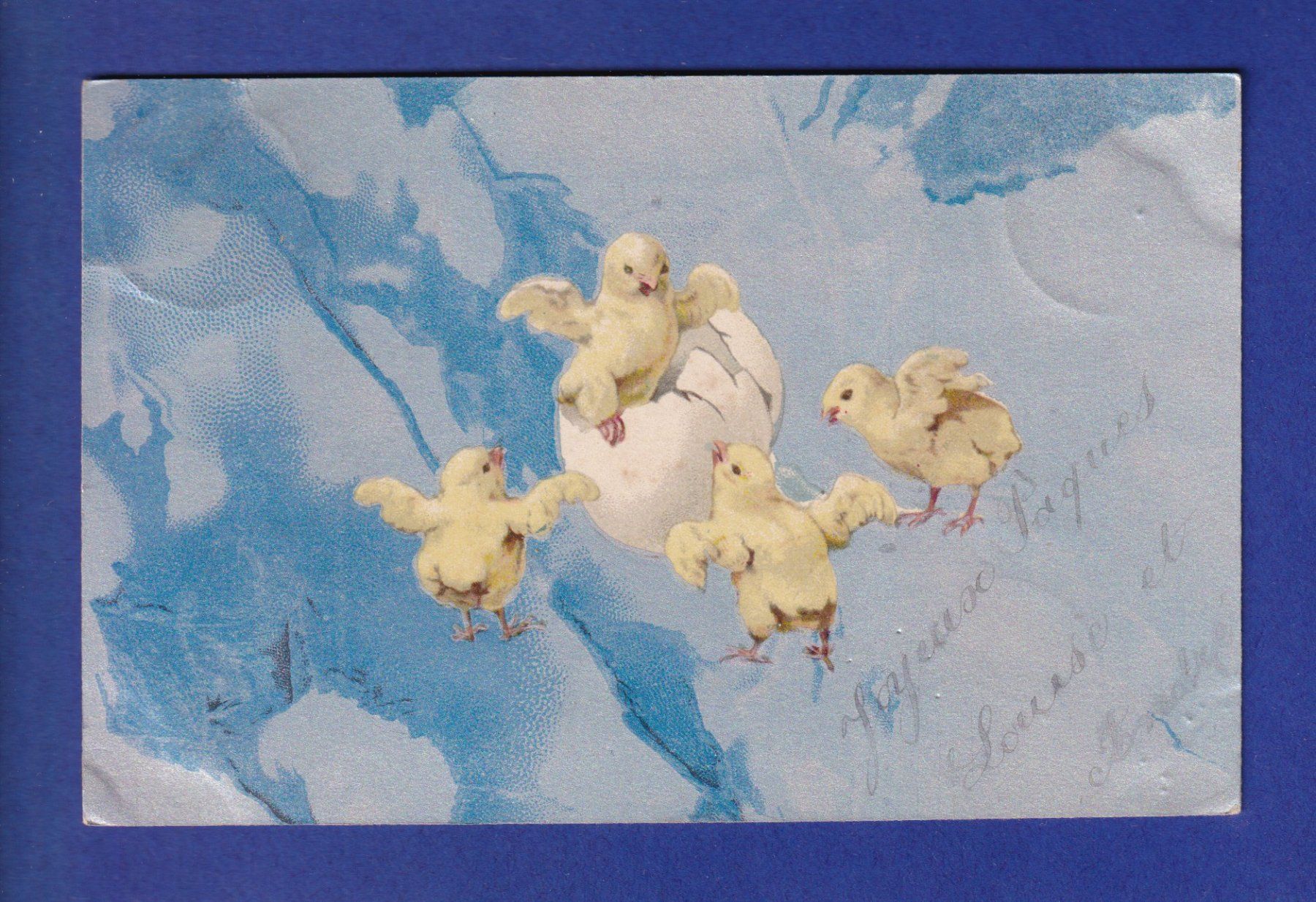 Ansichtskarten: OISEAU - Poussins – Gebraucht aus Pully von nicecards-shop