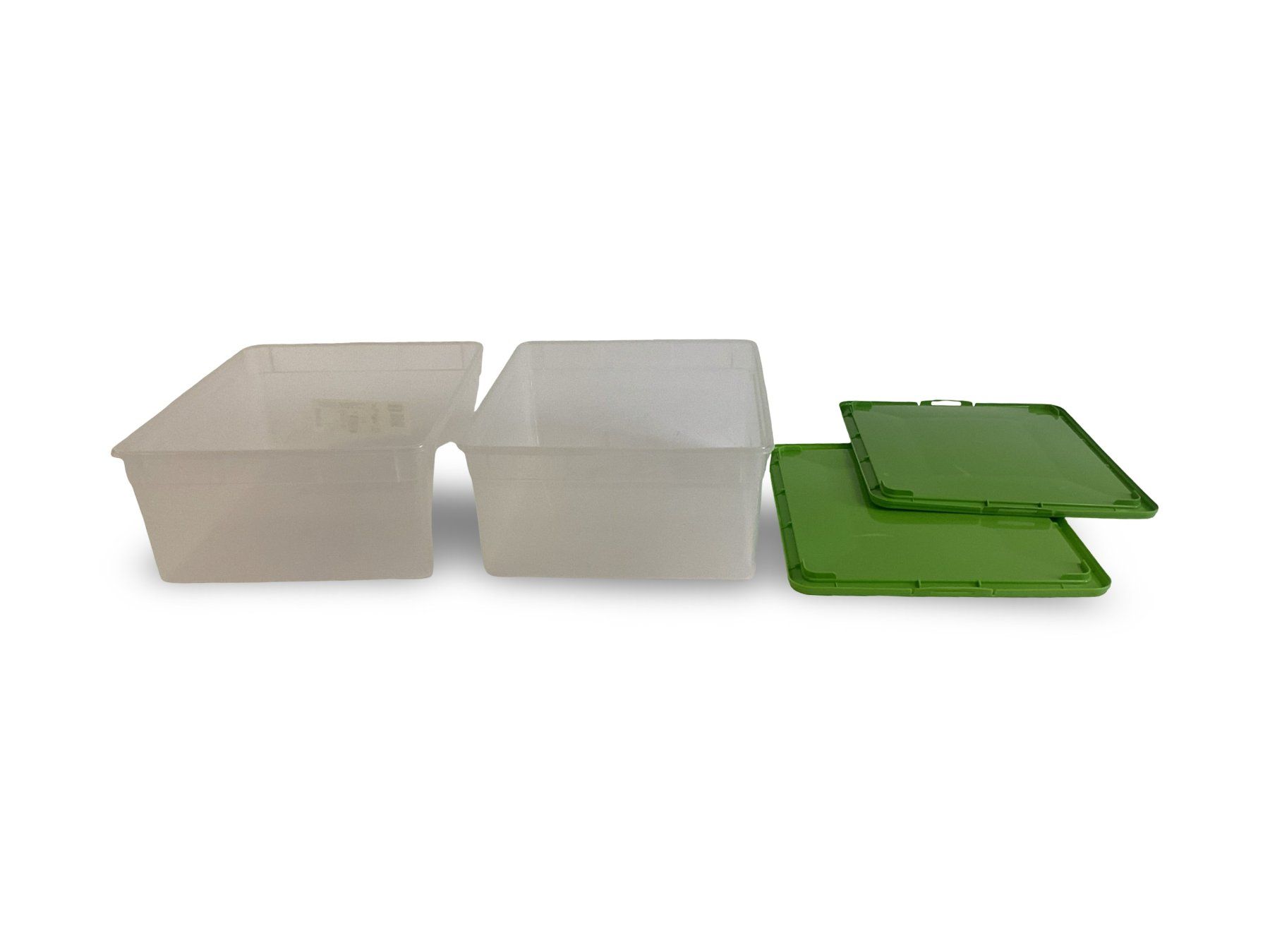 Rotho Contenitori & Simili: ROTHO Box (2er Set) – Usato da Zürich venduto da Restwert_Zuerich 1