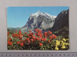 Grindelwald, 1985, Wetterhorn, Bahnpost Stempel