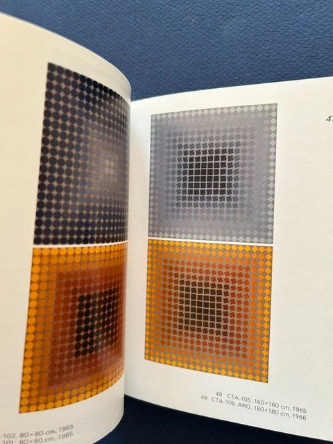 Libri: Vasarely, 2 Bände, gut erhalten – Usato da Bern venduto da oregonzwei 8