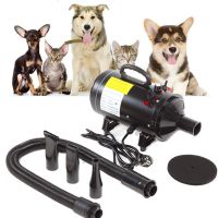 Hundehaare Hundehaarefoen Trockner 2400W