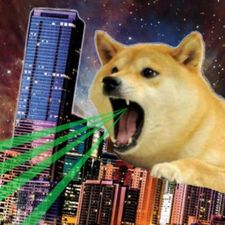 Profile image of dDawge