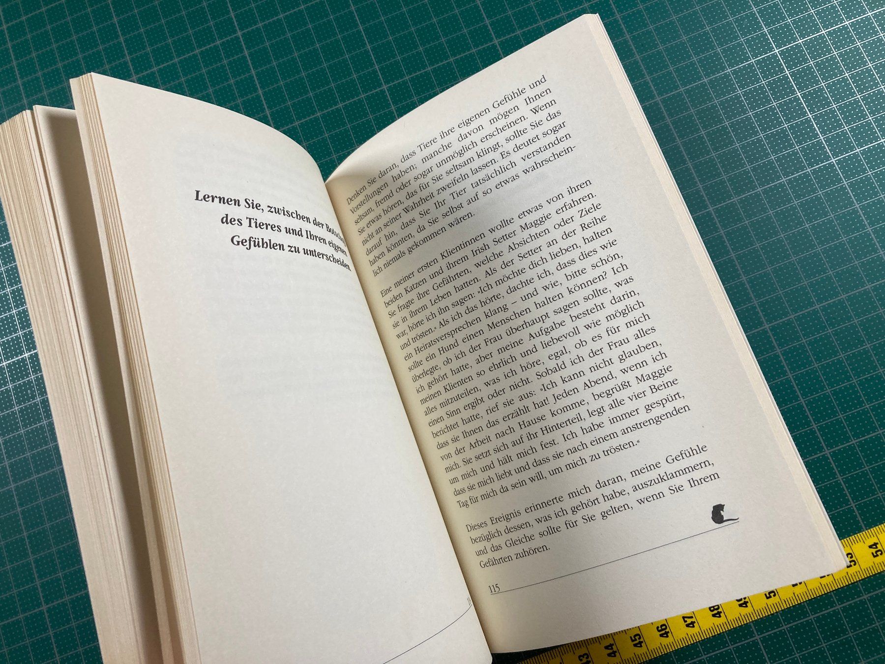 Libri: Judy Meyer: Mit Tieren sprechen – Usato da Lenzburg venduto da fh1 8