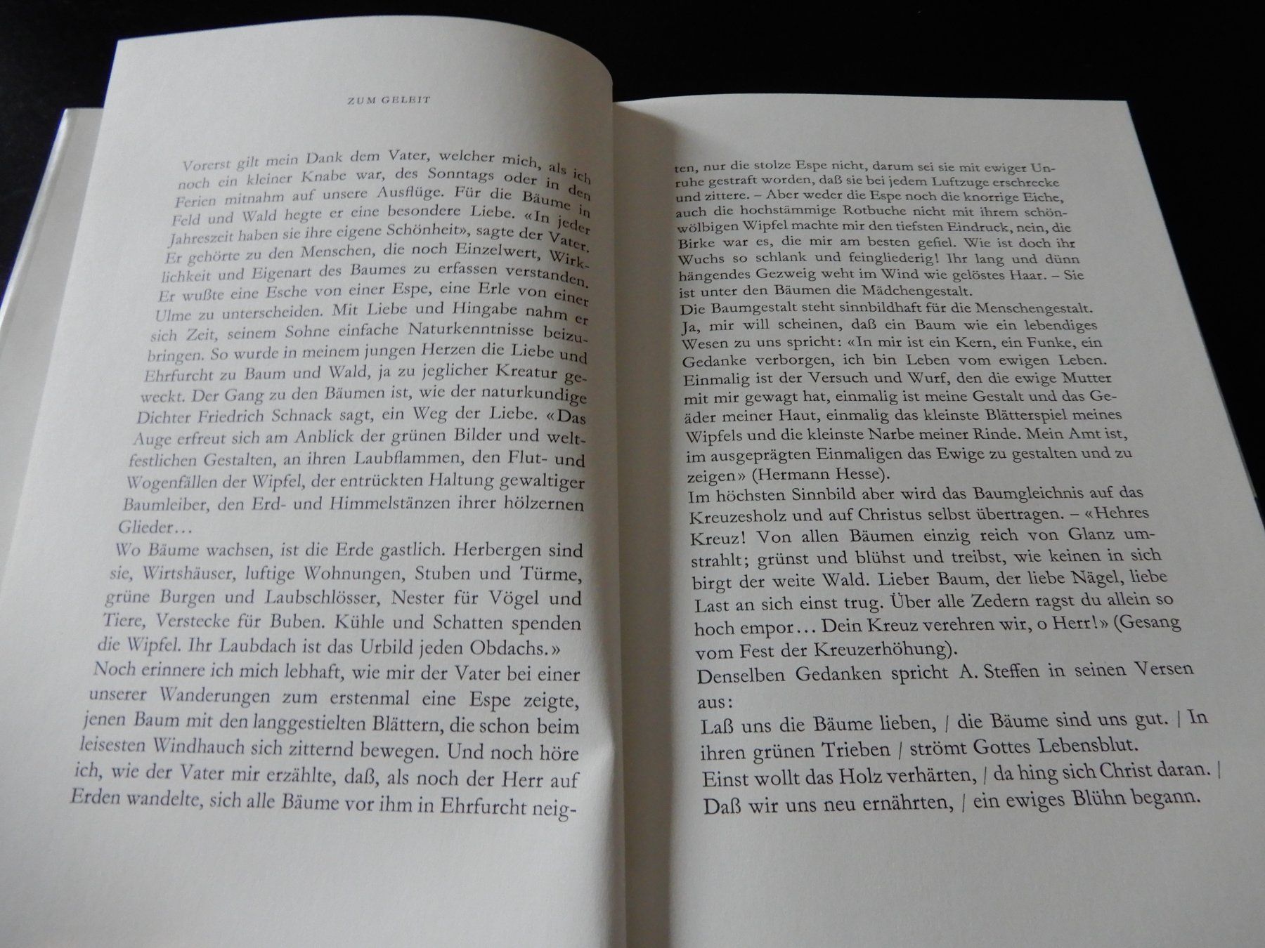Libri: Dank an die Bäume – Usato da Erstfeld venduto da Mario_boe0 6