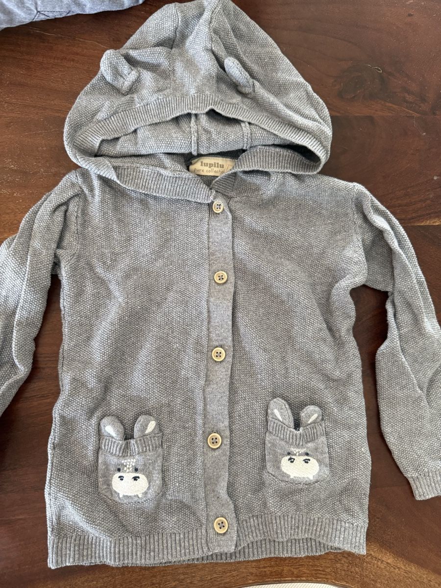 Lupilu Pullover & Sweatshirts: Lupilu Kapuzenpullover Gr. 86/92 Neu – Neu (gemäss Beschreibung) aus Kreuzlingen von hae23