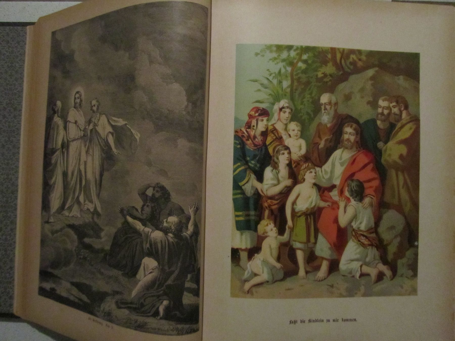 Libri: Illustrierte Familien Bibel – Usato da Weiningen ZH venduto da dietsch57 7
