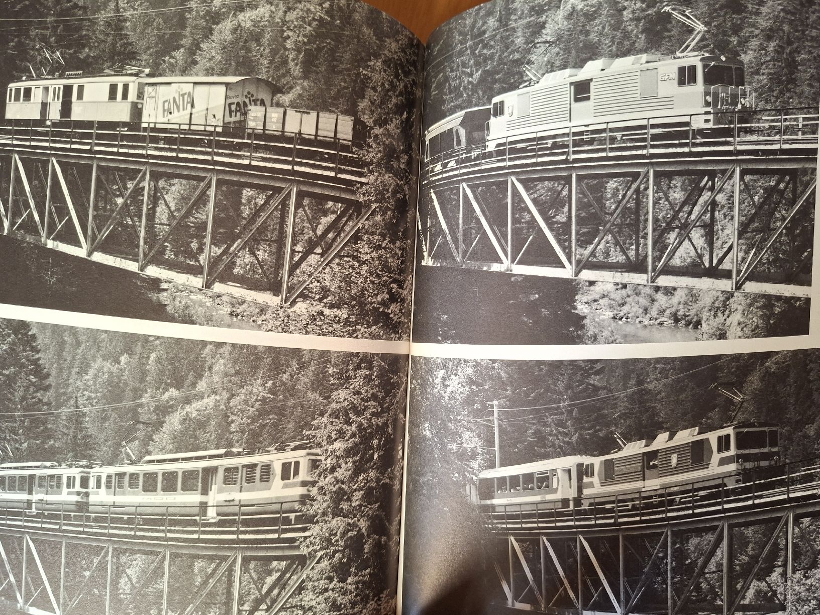 Libri: MOB Eisenbahner Buch von 1985 – Usato da Schwanden Sigrisw venduto da cadieux71 7