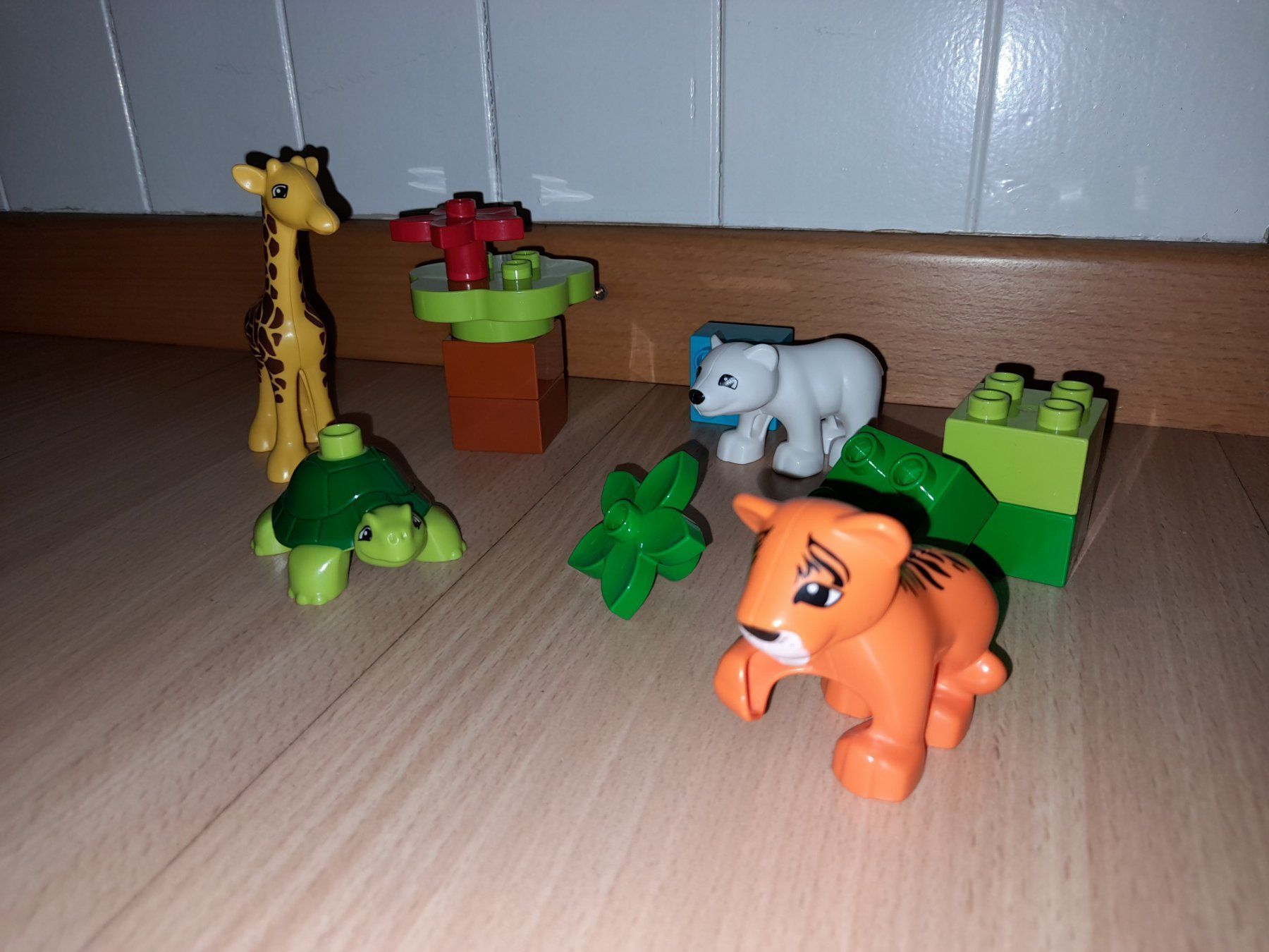 Lego Giocattoli: Lego Duplo Jungtiere 10801 – Usato da Wittenbach venduto da Gugielmo 1