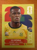 Panini RSA15